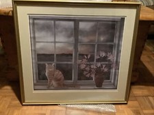limited edition cat print for sale limited edition cat print for sale EYE