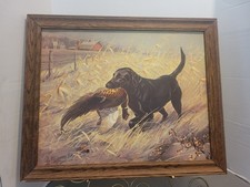 Les kouba black for sale  Parkston