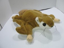 International flying squirrel for sale  Clementon