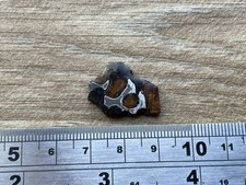 Pallasite meteorite specimen for sale  KEIGHLEY
