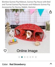 Guinea pig hide for sale  Flint