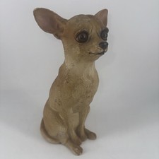 Chihuahua dog detailed for sale  Dexter