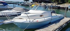 2005 seafox 210 d'occasion  Expédié en Belgium