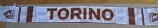 Torino toro 1906 usato  Torino
