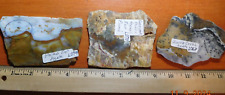 Favorite lapidary slabs for sale  Iron Mountain