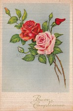 Buon compleanno fiori usato  Roma