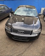 Audi gebraucht kaufen  Bretten