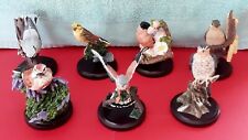 bird collection ornaments for sale  LEEDS