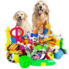 Assorted dog puppy for sale  BIRMINGHAM