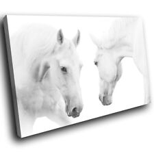 A346 white horse for sale  STRABANE