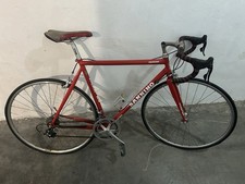 sannino corsa usato  Collegno