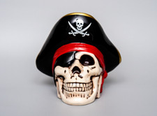 Pirate skull sunken for sale  Hacienda Heights