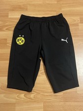 Puma borussia dortmund gebraucht kaufen  Ahlen-Dolberg