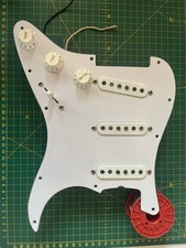 Alan dingwall stratocaster for sale  READING