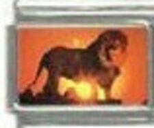 Lion sunset italian for sale  Hazlehurst