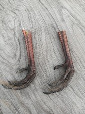 Pair dried wild for sale  Keewatin