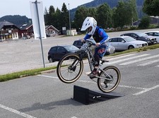 Große fahrrad rampe gebraucht kaufen  Hüllhorst