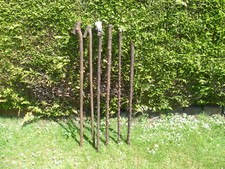 blackthorn shanks for sale blackthorn shanks for sale GOOLE