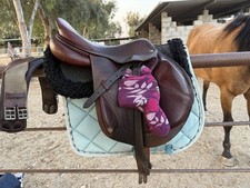 2015 se09 cwd for sale  Fresno