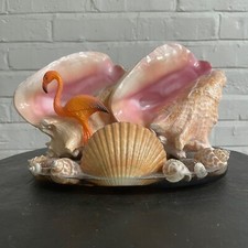 Vintage double conch for sale  Munster