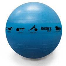 Prism fitness 75cm for sale  Lincoln