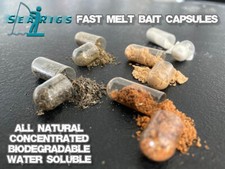 Sea fishing bait for sale  HOLYHEAD
