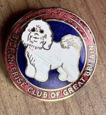 Bichon frise club for sale  RUTHIN