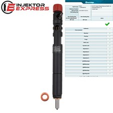 Ejbr02901d delphi injektor gebraucht kaufen  Köln