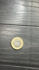 One pound 2018 usato  Frattaminore
