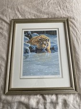 Rare stephen gayford for sale  LITTLEHAMPTON