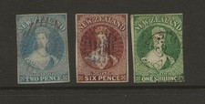 New zealand attractive for sale  STAFFORD