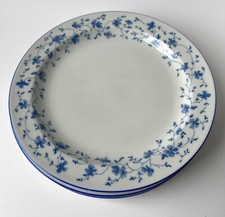 Arzberg germany hutschenreuthe gebraucht kaufen  Hamburg