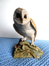 Teviotdale barn owl for sale  LANCING