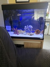 Fluval 90litre tank for sale  PETERBOROUGH