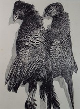 Original pen ink for sale  WIRRAL