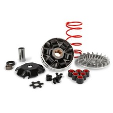 5112800 variatore malossi usato  Napoli