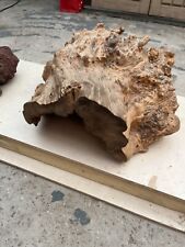 Reptile hide log for sale  BOLTON