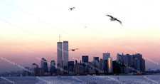 Twin towers new for sale  Roswell