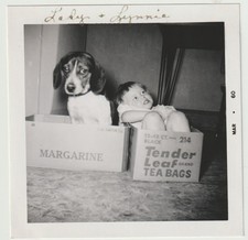 Vintage photo snapshot for sale  Burbank