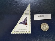 Butterflies butterfly chorinea for sale  Newton Highlands