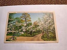 Vintage postcard 1950 for sale  Martinsburg