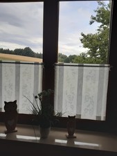 Scheibengardine 2er set gebraucht kaufen  Deutschland