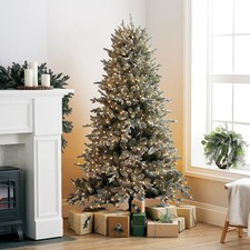 Santa best carlisle for sale  CREWE
