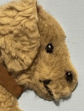 Niedliches bild hund gebraucht kaufen  Landsberg am Lech