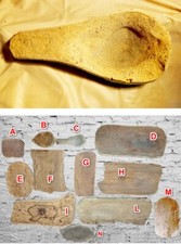 corteccia sughero usato corteccia sughero usato Cagliari