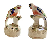 Pair parrots staffordshire for sale  CHICHESTER