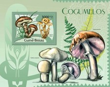 Guiné 2012 MNH - Cogumelos. Y&T 735, Mi 5763/Bl.1015 comprar usado  Enviando para Brazil