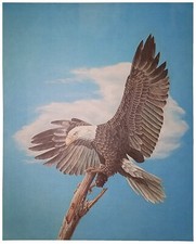 American eagle branch for sale  Wilmington