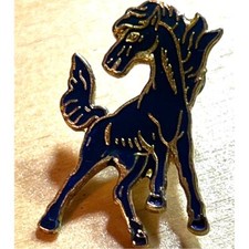 Vintage blue enamel for sale  Cle Elum
