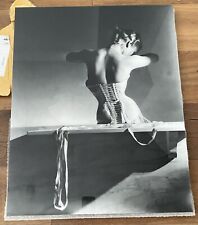 Lumas horst horst gebraucht kaufen  Düsseldorf